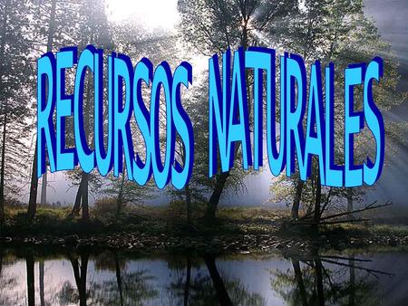 RECURSOS NATURALES.