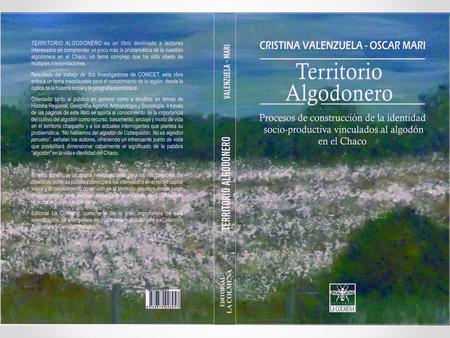 Grandes propiedades, colonias agrícolas y pastoriles en el ámbito Chacoformoseño.