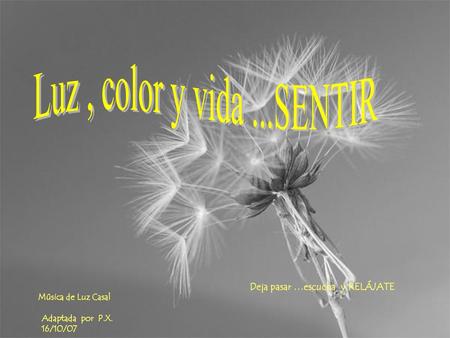 Luz , color y vida ...SENTIR Deja pasar …escucha y RELÁJATE