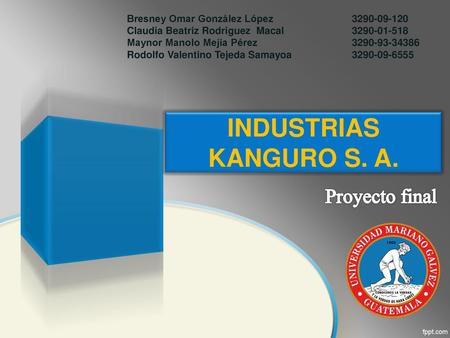 Proyecto final INDUSTRIAS KANGURO S. A.