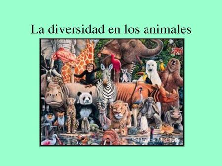 La diversidad en los animales