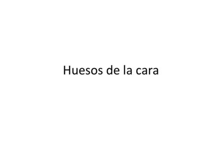 Huesos de la cara.