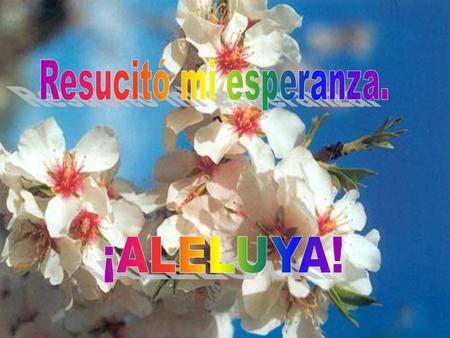 TÚ ERES DE LOS QUE CREEN SIN HABER VISTO. TÚ ERES DE LOS QUE CREEN SIN HABER VISTO.
