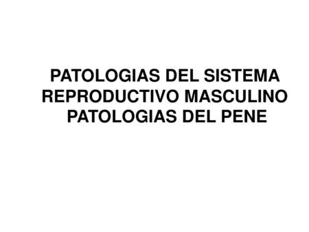 PATOLOGIAS DEL SISTEMA REPRODUCTIVO MASCULINO PATOLOGIAS DEL PENE