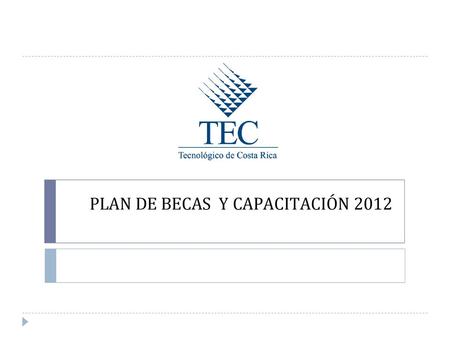 PLAN DE BECAS Y CAPACITACIÓN 2012
