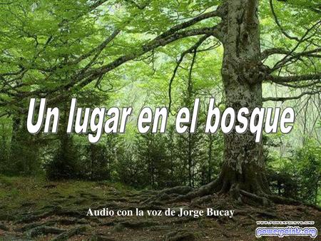 Un lugar en el bosque Audio con la voz de Jorge Bucay.