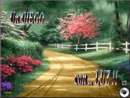 Un CIEGO .. con .. LUZ !!.