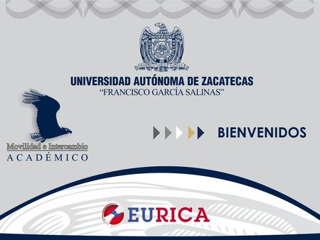 Europe and America: Enhancing University Relations by Investing in Cooperative Actions