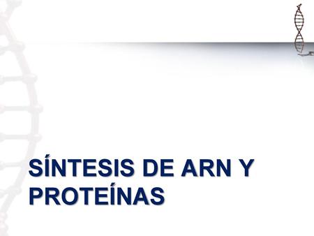 Síntesis de ARN y proteínas