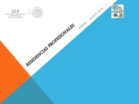 Residencias Profesionales