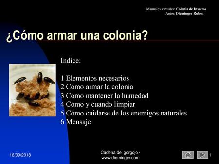 ¿Cómo armar una colonia?