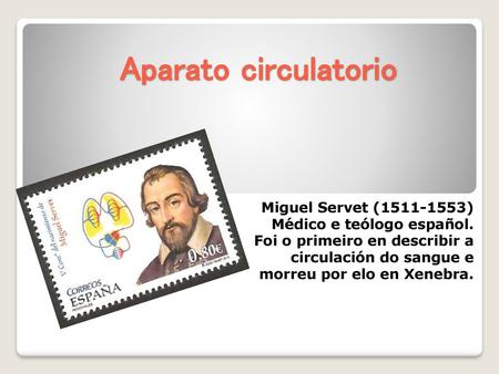 Aparato circulatorio Miguel Servet ( ) Médico e teólogo español.
