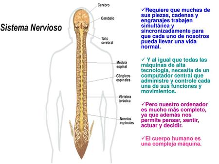 Requiere que muchas de sus piezas, cadenas y engranajes trabajen simultánea y sincronizadamente para que cada uno de nosotros pueda llevar una vida normal.