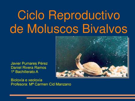 Ciclo Reproductivo de Moluscos Bivalvos