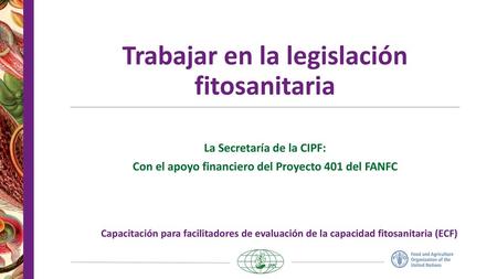 Trabajar en la legislación fitosanitaria