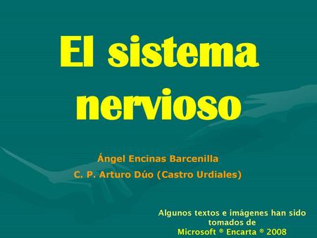 El sistema nervioso Ángel Encinas Barcenilla