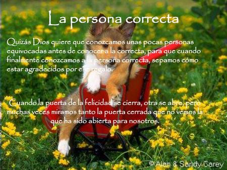 La persona correcta Quizás Dios quiere que conozcamos unas pocas personas equivocadas antes de conocer a la correcta, para que cuando finalmente conozcamos.