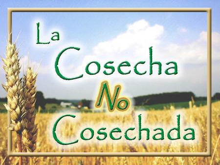 02 - El Reconocimiento - Un Llamado Al Discernimiento