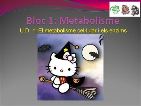 U.D. 1: El metabolisme cel·lular i els enzims