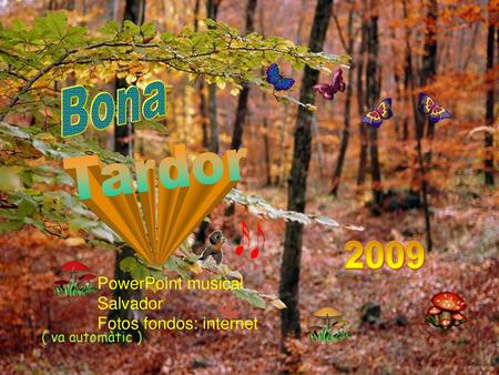 Tardor Bona 2009 PowerPoint musical Salvador Fotos fondos: internet