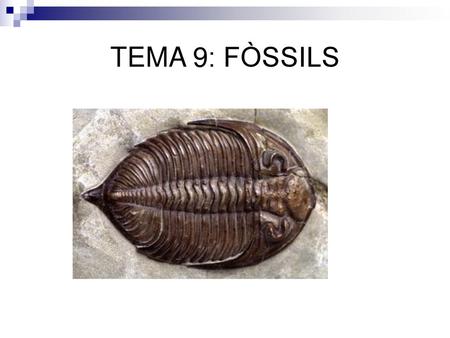 TEMA 9: FÒSSILS.