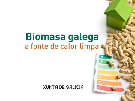 Unha industria da biomasa para Galicia 1
