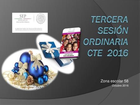 Tercera sesión ordinaria CTE 2016