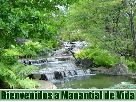 Bienvenidos a Manantial de Vida