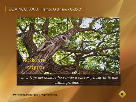 DOMINGO XXXI Tiempo Ordinario - Ciclo C