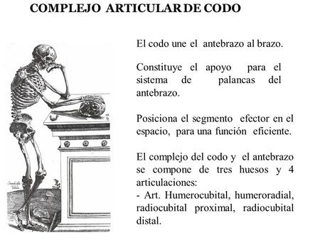 COMPLEJO ARTICULAR DE CODO 