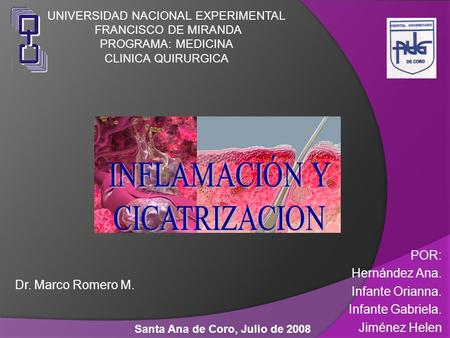 Dr. Marco Romero M. Santa Ana de Coro, Julio de 2008 POR: Hernández Ana. Infante Orianna. Infante Gabriela. Jiménez Helen UNIVERSIDAD NACIONAL EXPERIMENTAL.
