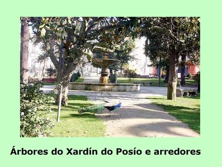 Árbores do Xardín do Posío e arredores