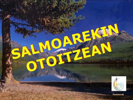 SALMOAREKIN OTOITZEAN