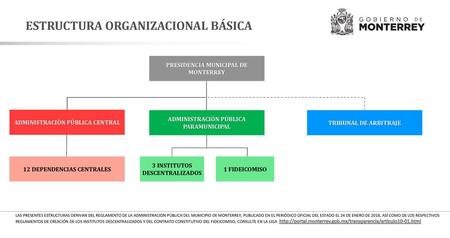 ESTRUCTURA ORGANIZACIONAL BÁSICA