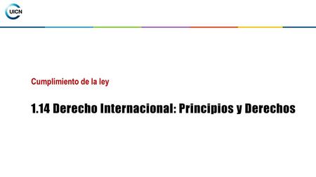 1.14 Derecho Internacional: Principios y Derechos