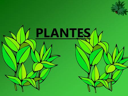 PLANTES.
