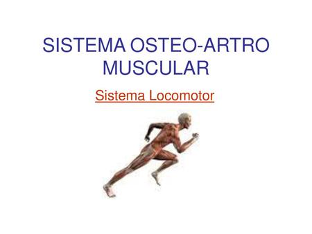 SISTEMA OSTEO-ARTRO MUSCULAR