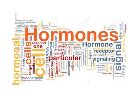 SISTEMA ENDOCRINO El sistema endocrino es un sistema de coordinación .