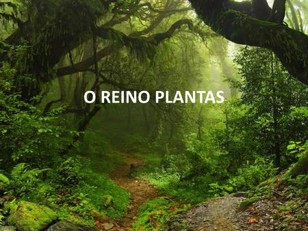 O REINO PLANTAS.