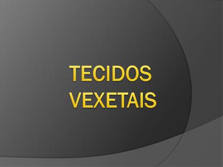 TECIDOS VEXETAIS.
