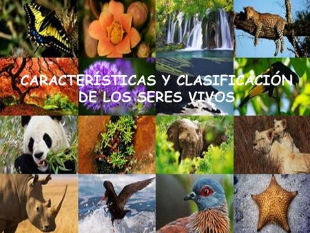 CARACTERÍSTICAS Y CLASIFICACIÓN DE LOS SERES VIVOS