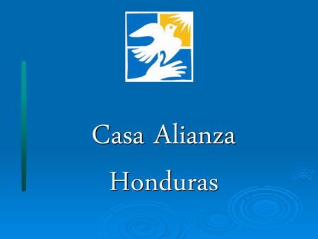 Casa Alianza Honduras.