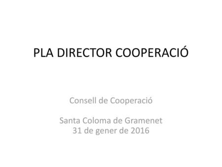 PLA DIRECTOR COOPERACIÓ