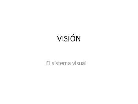 VISIÓN El sistema visual.