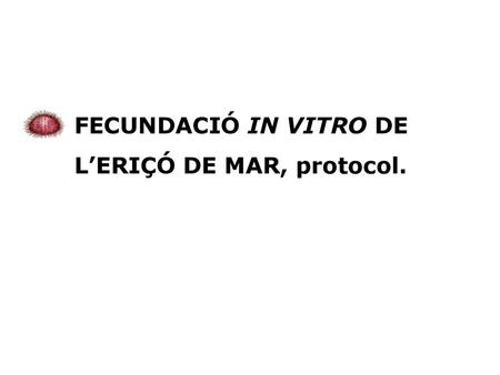 FECUNDACIÓ IN VITRO DE L’ERIÇÓ DE MAR, protocol..