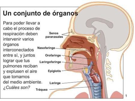 1.