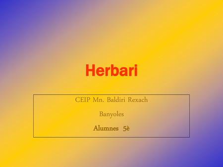 CEIP Mn. Baldiri Rexach Banyoles Alumnes 5è