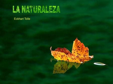 LA NATURALEZA Eckhart Tolle.