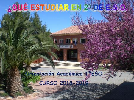 Orientación Académica 1ºESO