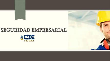 SEGURIDAD Empresarial